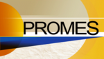 promes_logo
